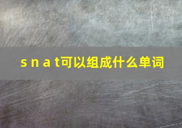 s n a t可以组成什么单词